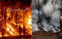 واشنگٹن میں آگ بھڑک اٹھی: 65ہزارافراد محفوظ مقامات پر منتقل، ہنگامی حالت کا اعلان